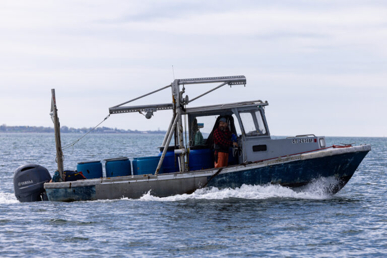 GreenWave_Kelp_Farm_Allegra_Anderson_Photographer_603