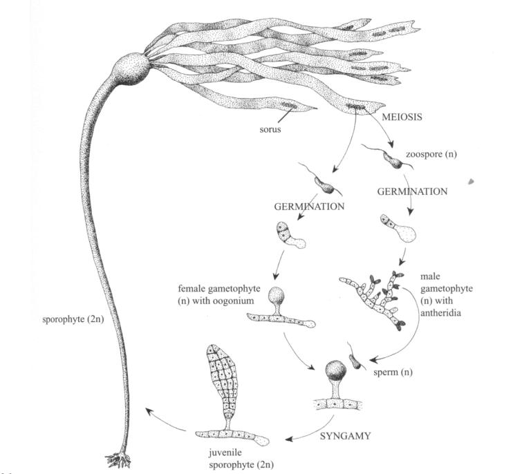 Screenshot 2025-07-10 at 3.11.42 PM