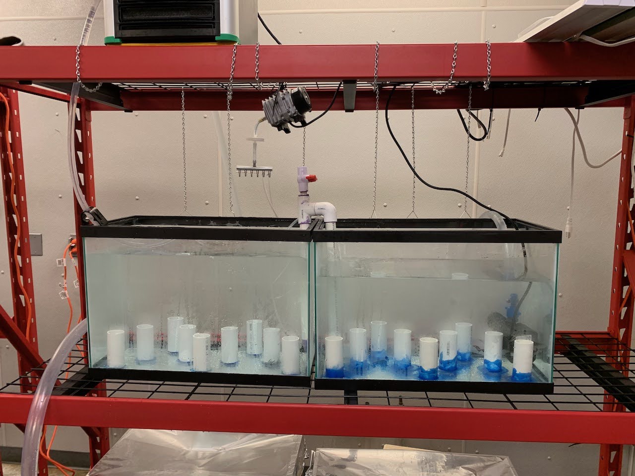 Photo of a tank with a siphon