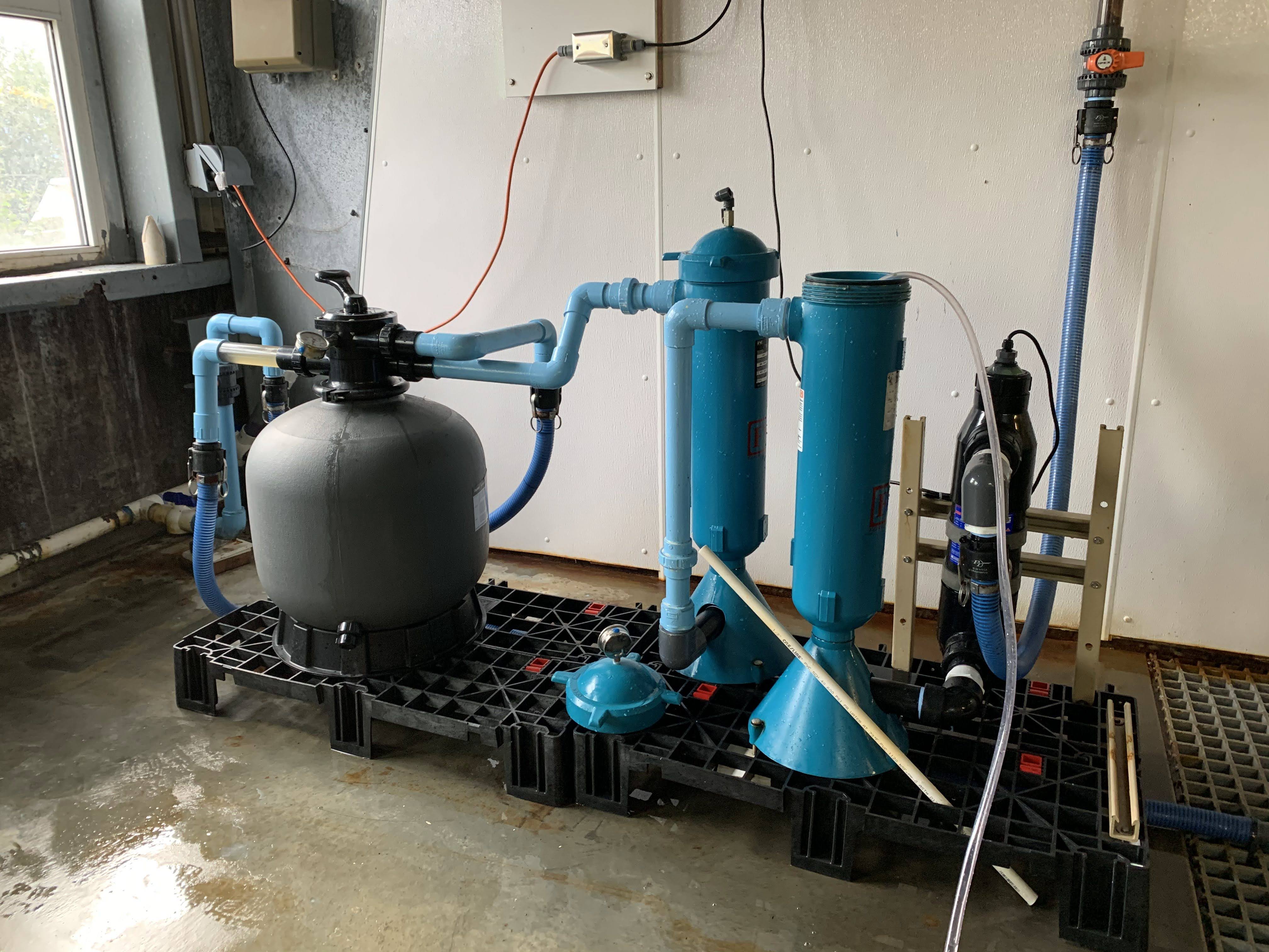 IMG_6351.HEIC.sb-e6ae0d11-Z2avTi