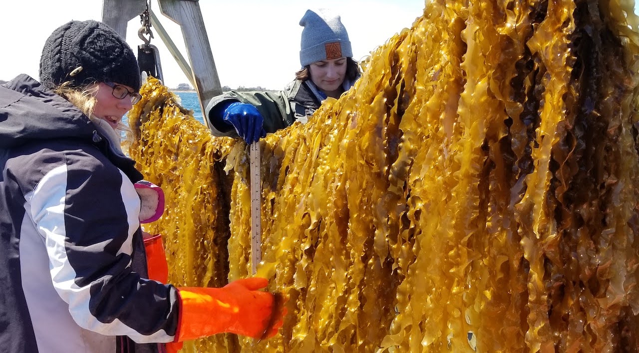 Cathering Puckett (1)