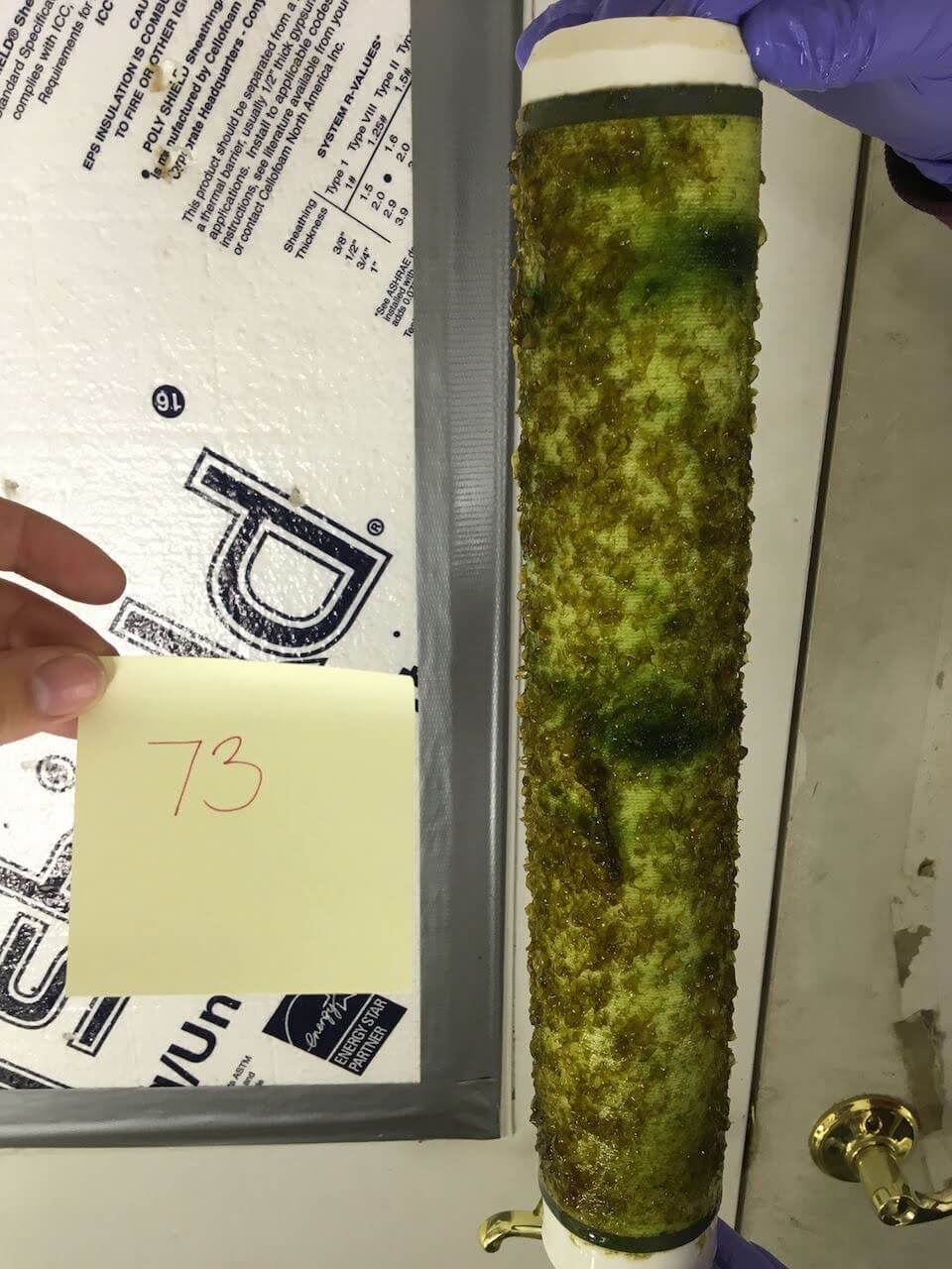 Image from iOS (125)