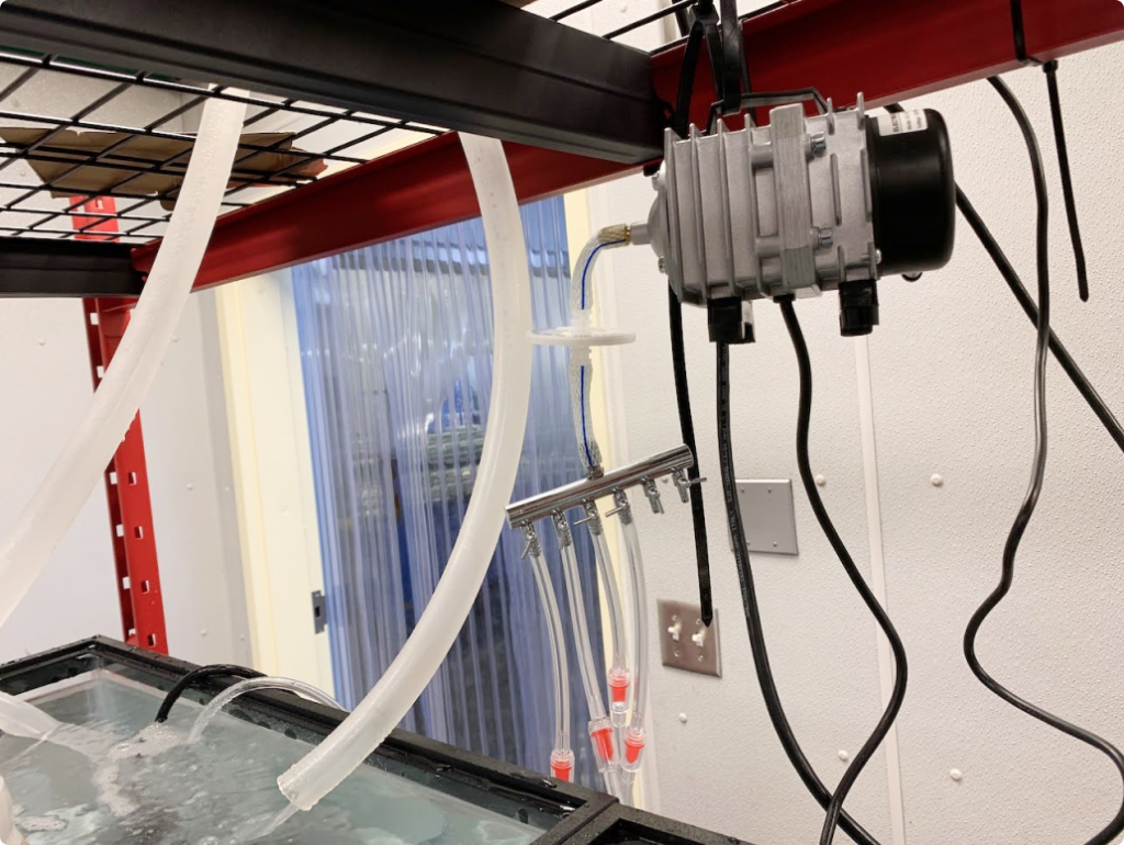 A photo of the Alutiiq Pride Marine Institute’s air system