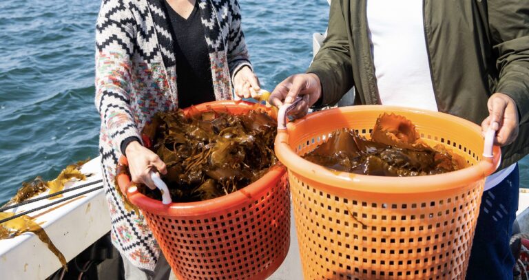 Elizabeth_Ellenwood__DSC8059_Chef_Tami_Grooney_of_White_Gate_Farm_Chef_Kinslar_of_Mix