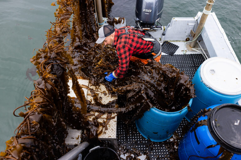GreenWave_Kelp_Farm_Allegra_Anderson_Photographer_368