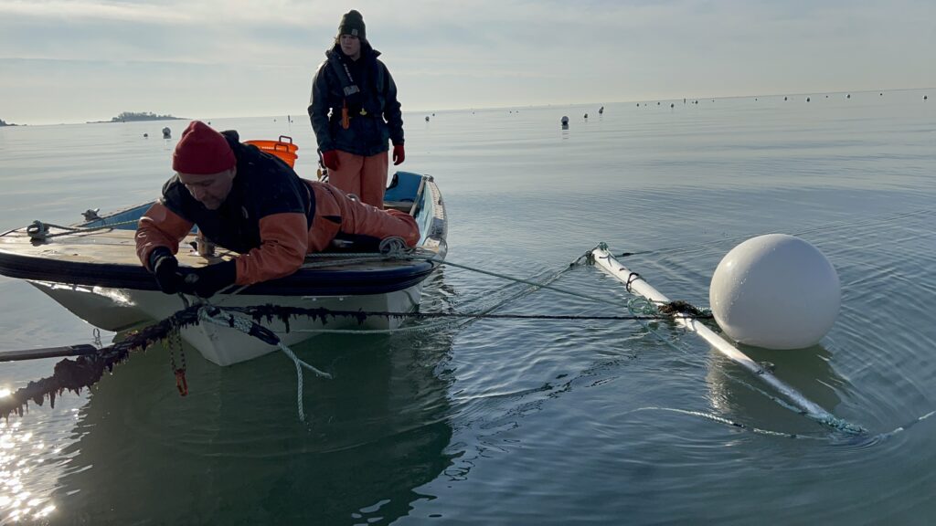 Week 3: Gear Selection and Farm Design