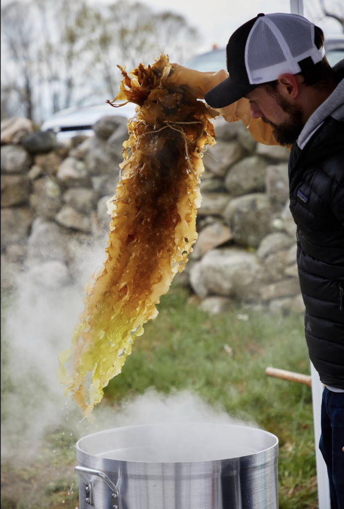 Optimal Post-Harvest Handling & Storage