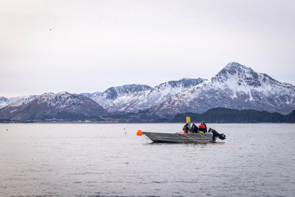 How to Start a Kelp Farm