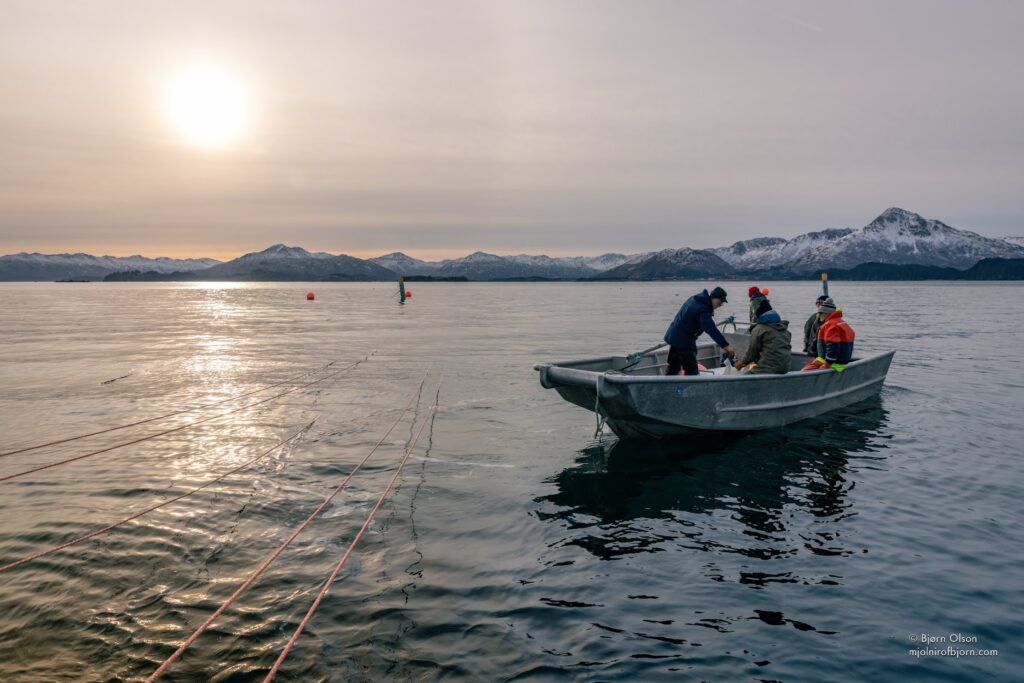 Content Generation and Social Media Marketing