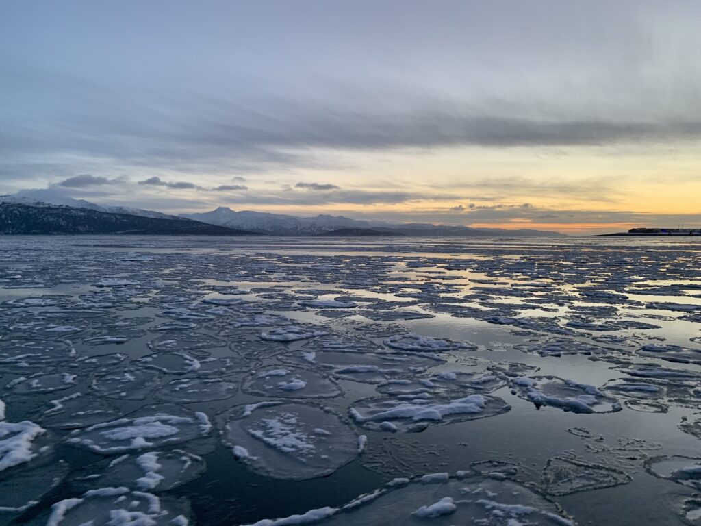 Farmer Horror Stories