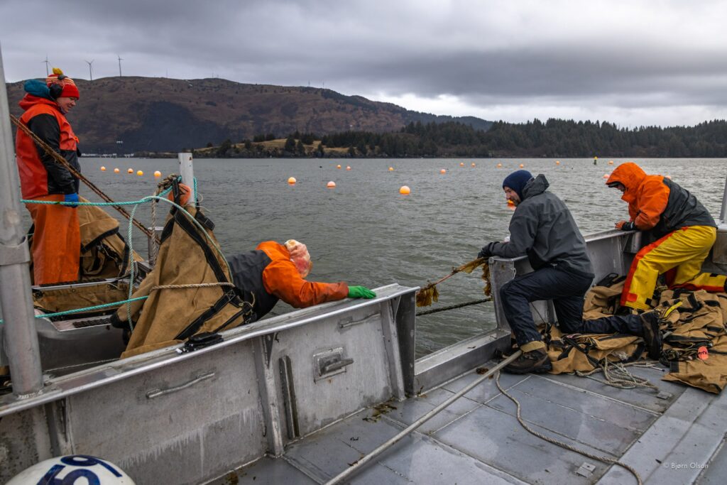 Building Power: Producer Cooperatives