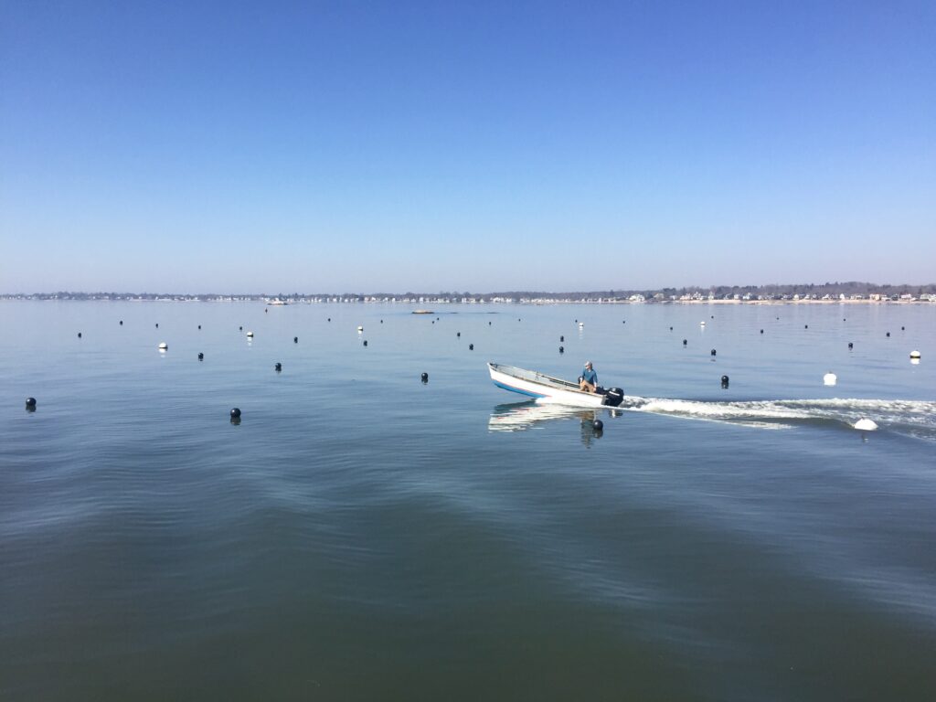 Intro to Kelp Part Two: Chart Your Course in the Seaweed Industry
