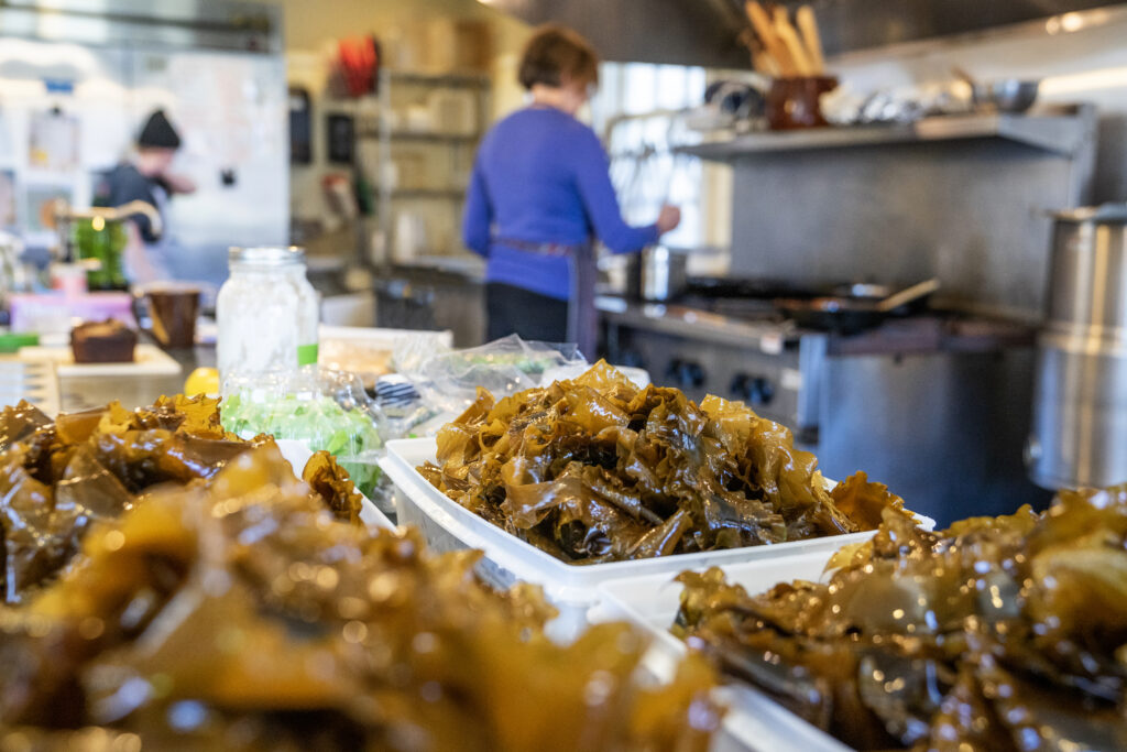 Kelp Product Development