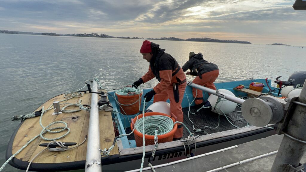 Mastering C-Links and Spreader Bars: 5-Line Array Systems