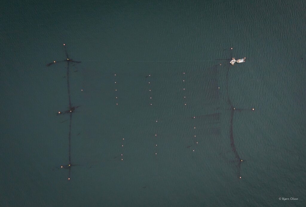Multi-line Array Systems