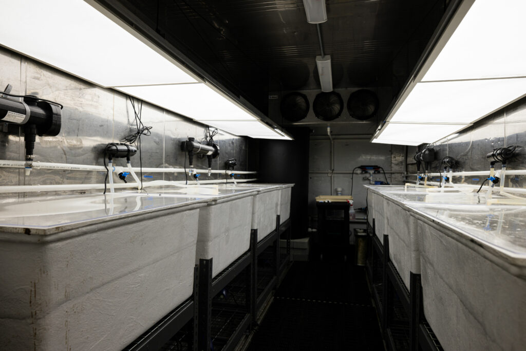 Emerging Approaches to Seed Production