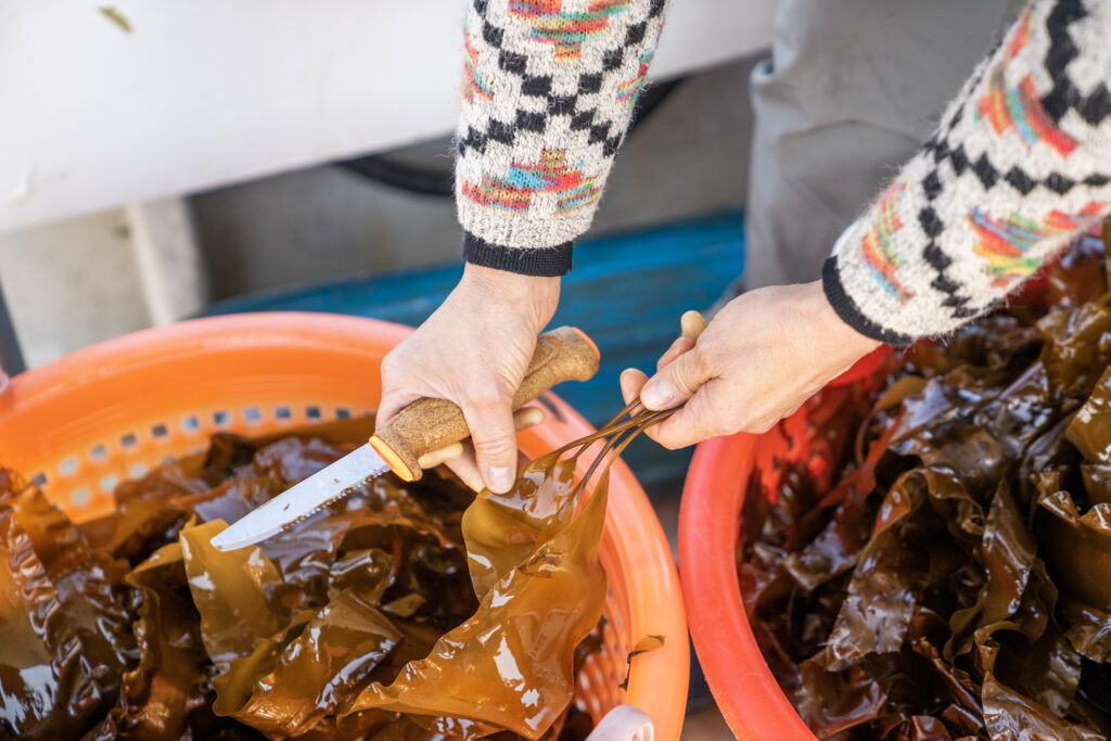 Quality Control: Sourcing Consistent Kelp