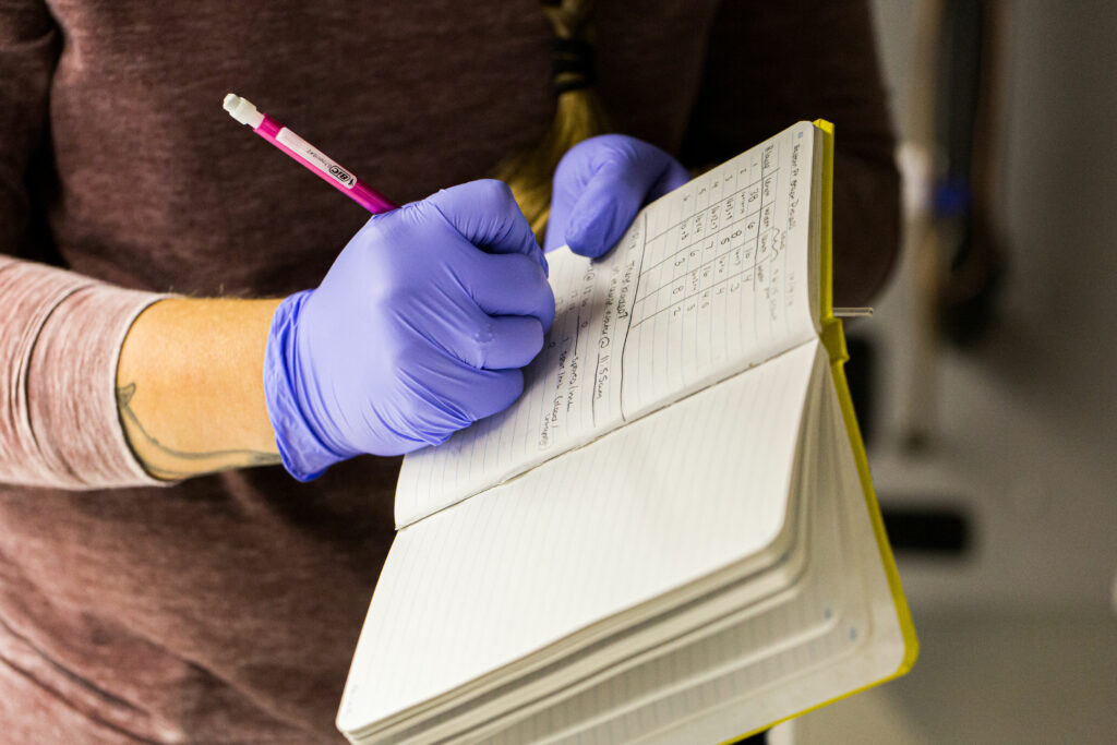 Metrics that Matter: Kelp Impact Reporting