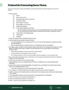 Screenshot of Processing Sorus Tissue in Kelp Nurseries: Step-by-Step Guide