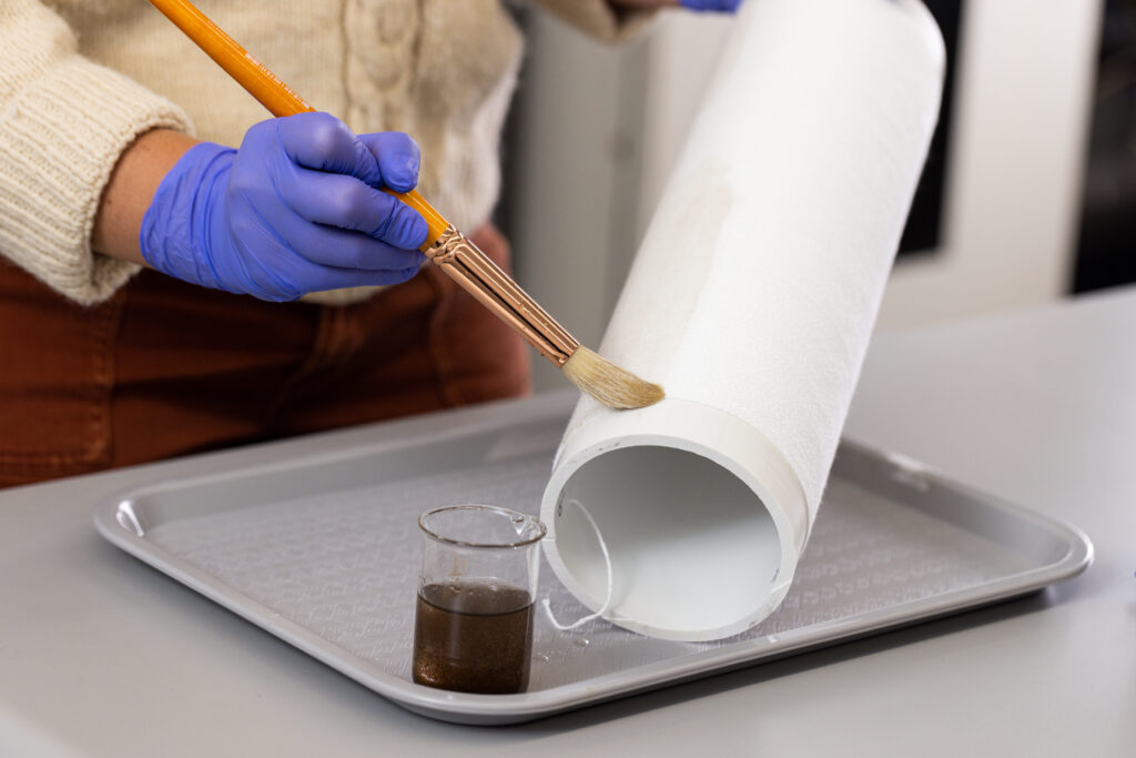 Protocols for Gametophyte Culturing